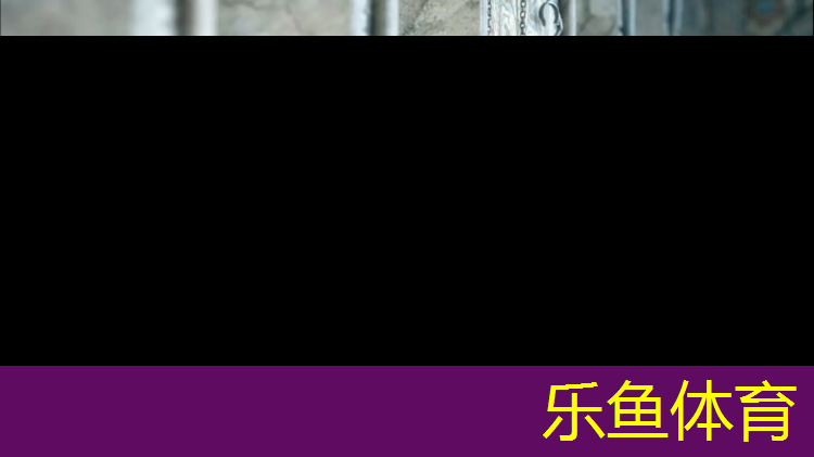leyu·乐鱼(中国)体育官方网站,青海生态塑胶跑道工程项目